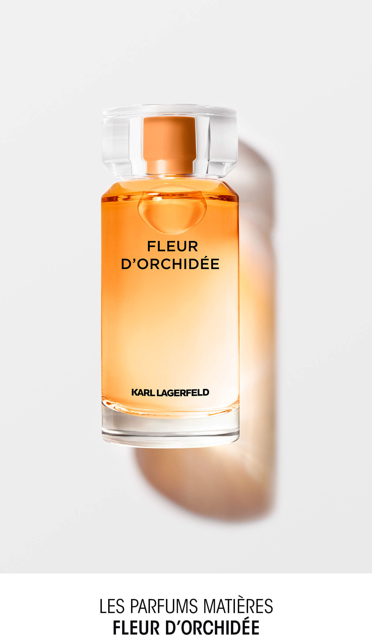 amplitude Giotto Dibondon borst Karl Lagerfeld fragrances - Interparfums