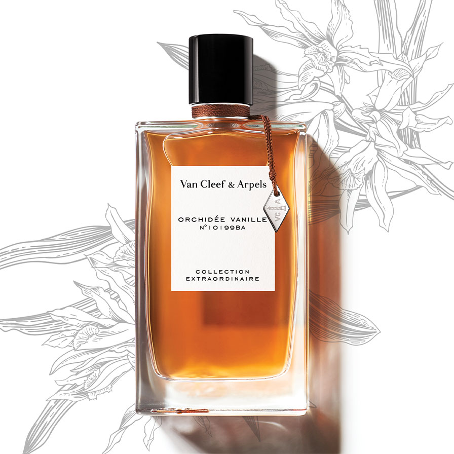 Bewust worden Denk vooruit suiker Van Cleef and Arpels Collection Extraordinaire Orchidée Vanille -  Interparfums